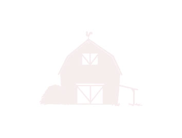 barn background