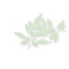 background image of leaves