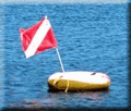 divers down gif