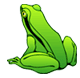 frog gif frog gif