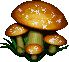 mushroom with transparent bg